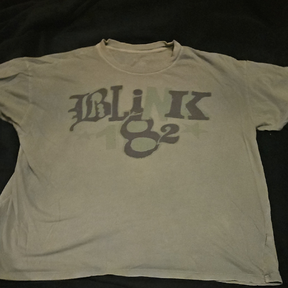 American Eagle Outfitters Graphic Tee Blink 182 - Blue
